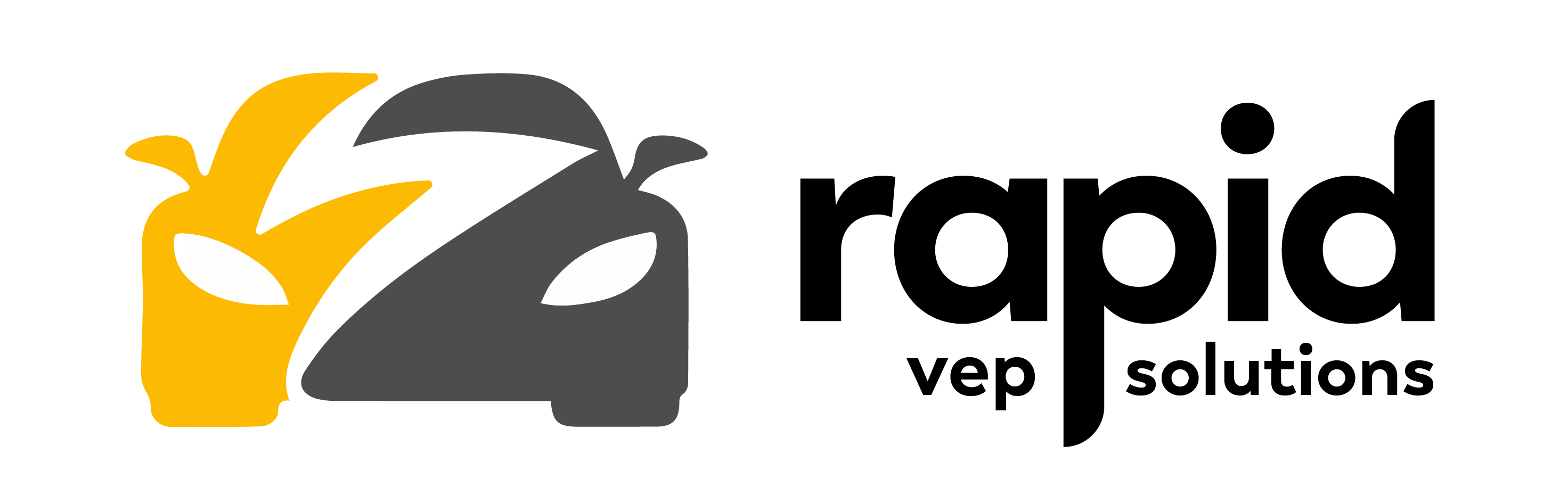 Rapid VEP Solutions